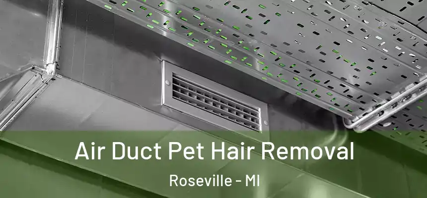  Air Duct Pet Hair Removal Roseville - MI
