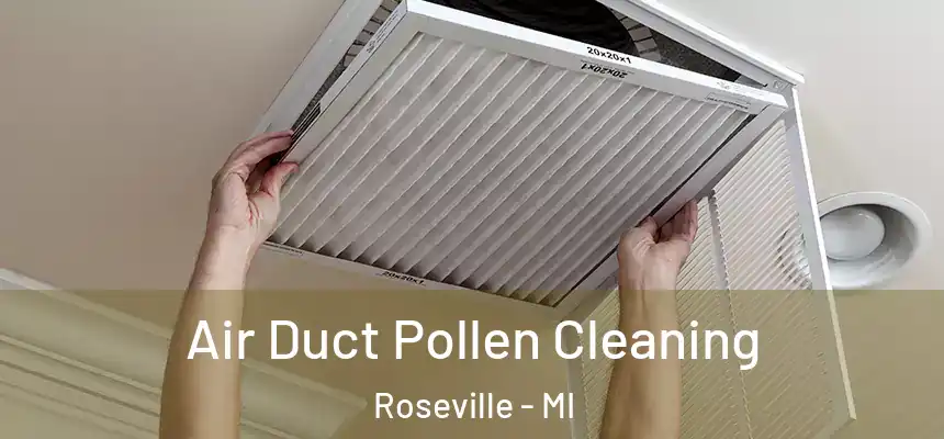 Air Duct Pollen Cleaning Roseville - MI