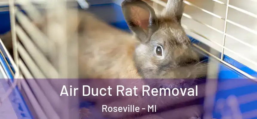  Air Duct Rat Removal Roseville - MI