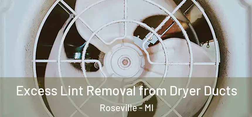  Excess Lint Removal from Dryer Ducts Roseville - MI