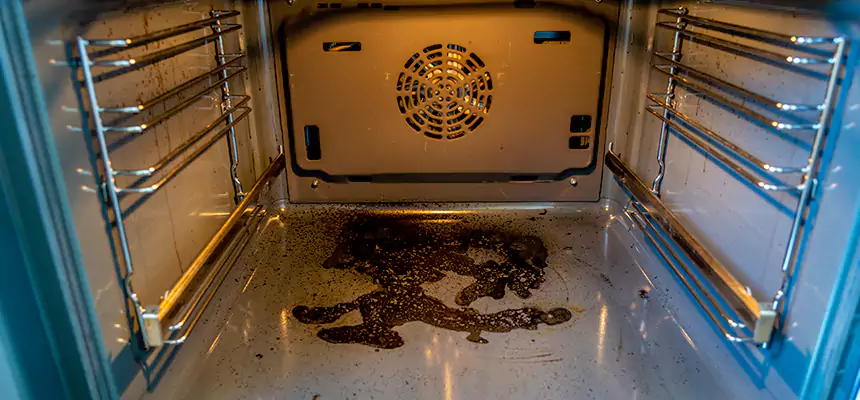 Our Air Purifier Installation Services in Roseville, MI