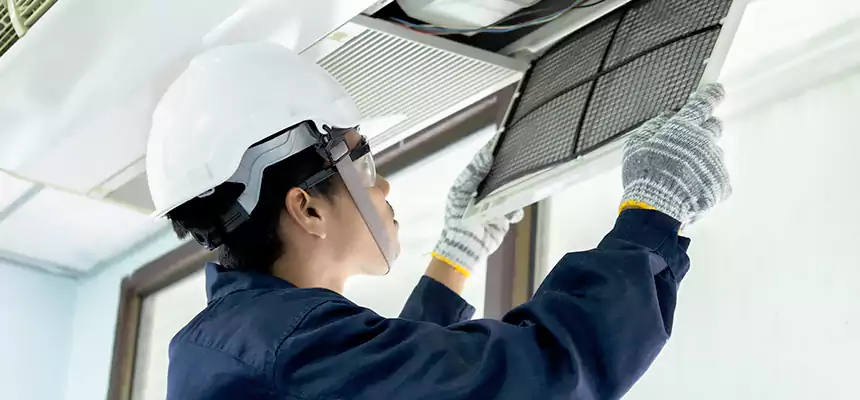 Our Mold & Mildew Removal from Air Ducts Services in Roseville, MI