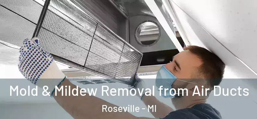  Mold & Mildew Removal from Air Ducts Roseville - MI