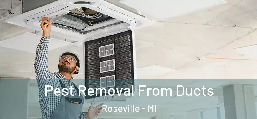 Pest Removal From Ducts Roseville - MI