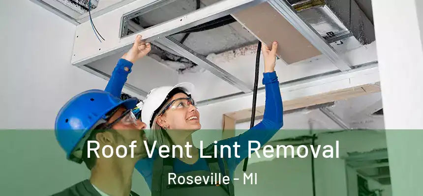 Roof Vent Lint Removal Roseville - MI