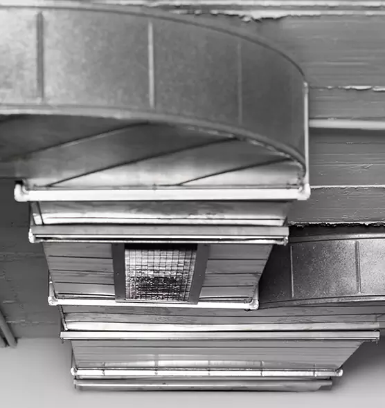 Professional Air Duct Pet Hair Removal in Roseville, MI