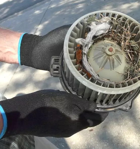 About Air Duct Rat Removal in Roseville, MI