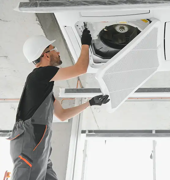 About Air Duct Rodent Removal in Roseville, MI