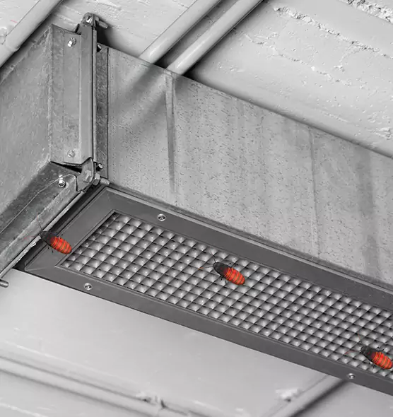 Affordable Insect Removal from Air Ducts in Roseville, MI