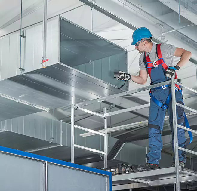 Why Homeowners & Businesses Trust Us in Roseville, MI?