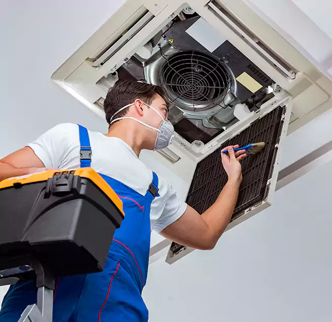 Why Homeowners & Businesses Trust Us in Roseville, MI?