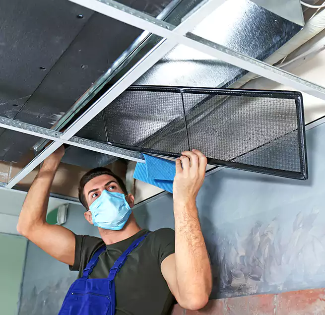 Why Homeowners Businesses Trust Us in Roseville, MI