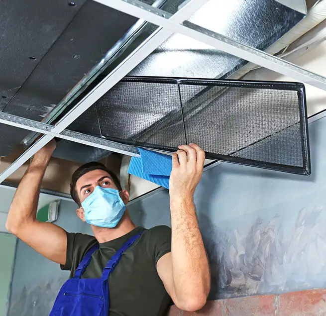 Why Homeowners & Businesses Trust Us in Roseville, MI?